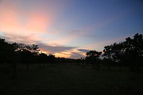 Big Game - Udawalawe by Eco Team