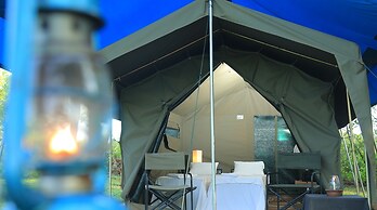 Big Game - Udawalawe by Eco Team