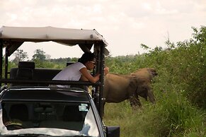 Big Game - Udawalawe by Eco Team