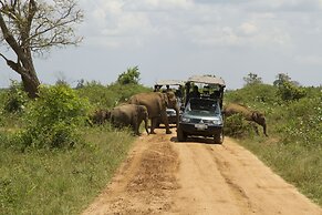 Big Game - Udawalawe by Eco Team