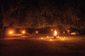 Big Game - Udawalawe by Eco Team