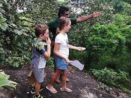 Big Game - Udawalawe by Eco Team