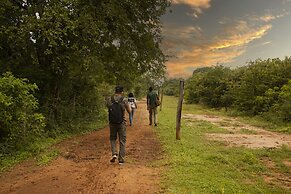 Big Game - Udawalawe by Eco Team