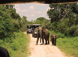 Big Game - Udawalawe by Eco Team