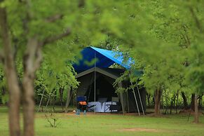 Big Game - Wilpattu by Eco Team