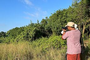 Big Game - Wilpattu by Eco Team