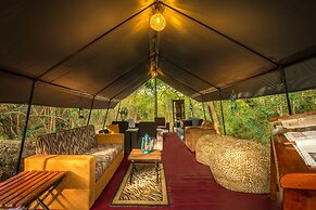Big Game - Wilpattu by Eco Team