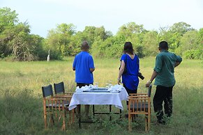 Big Game - Wilpattu by Eco Team