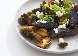 Holiday Inn Express Sydney Macquarie Park by IHG