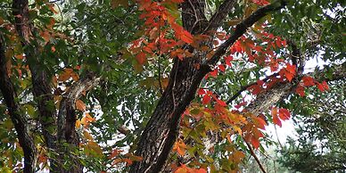 Bellscabin Guesthouse