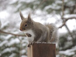 Bellscabin Guesthouse