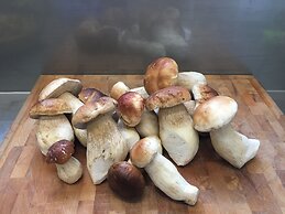 Hotel-Restaurant Druidenstein