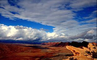 Desert Rose Resort & Cabins
