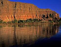 Desert Rose Resort & Cabins