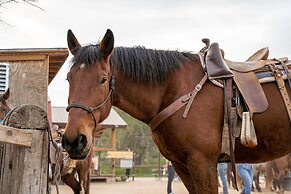 Saguaro Lake Guest Ranch