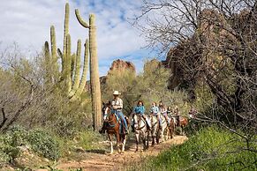 Saguaro Lake Guest Ranch