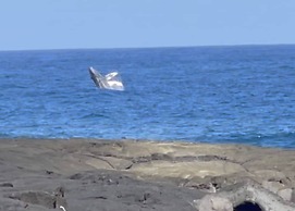 Ala Kai Bed & Breakfast