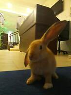 Nooit Gedacht Holiday Resort