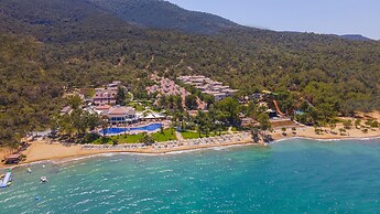 Long Beach Club Nature