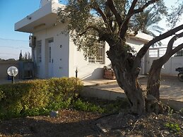 Auberg-Inn Guesthouse