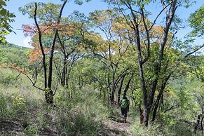 Musangano Lodge
