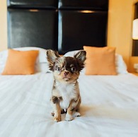 Sora Resort & Suites Sukhumvit