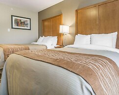 Comfort Inn & Suites Edmonton International Airport