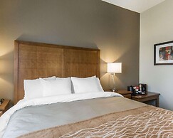 Comfort Inn & Suites Edmonton International Airport