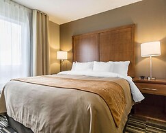 Comfort Inn & Suites Edmonton International Airport