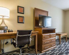 Comfort Inn & Suites Edmonton International Airport
