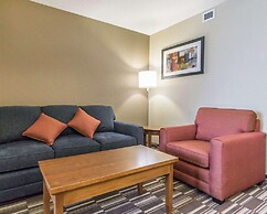 Comfort Inn & Suites Edmonton International Airport