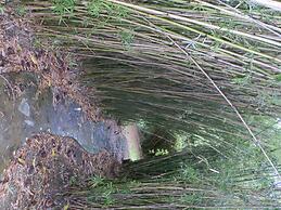 Harding Hall Hideaway