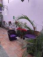 Olga Querida Hostal - Hostel