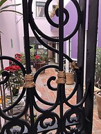 Olga Querida Hostal - Hostel