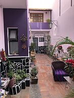 Olga Querida Hostal - Hostel