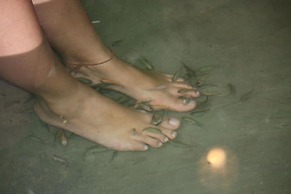 Bantayan Island Nature Park and Resort