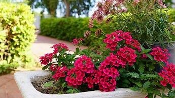 Irem Garden Hotel & Apartments