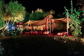 Le Clos des Oliviers by KMV