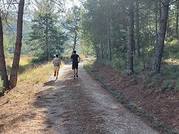 Cabañas Llano de los Conejos