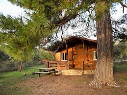 Cabañas Llano de los Conejos