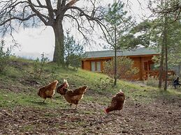 Cabañas Llano de los Conejos