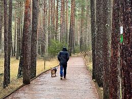 Cabañas Llano de los Conejos