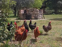 Cabañas Llano de los Conejos