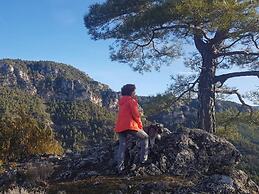 Cabañas Llano de los Conejos