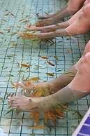 Jenq Yang Hotspring Hotel