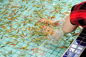 Jenq Yang Hotspring Hotel