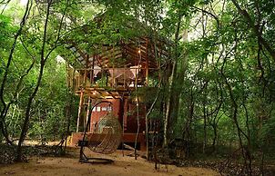 Back of Beyond - Pidurangala