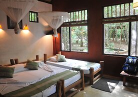 Back of Beyond - Pidurangala