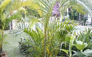 Pousada do Marujo
