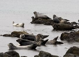 North West Restaurant & Guesthouse